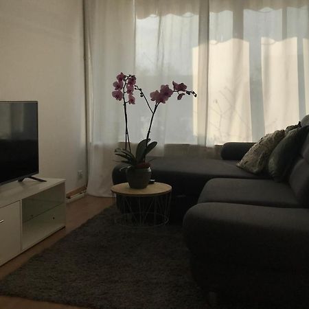 Bel Appartement Near Bale Mulhouse Airport サン・ルイ エクステリア 写真
