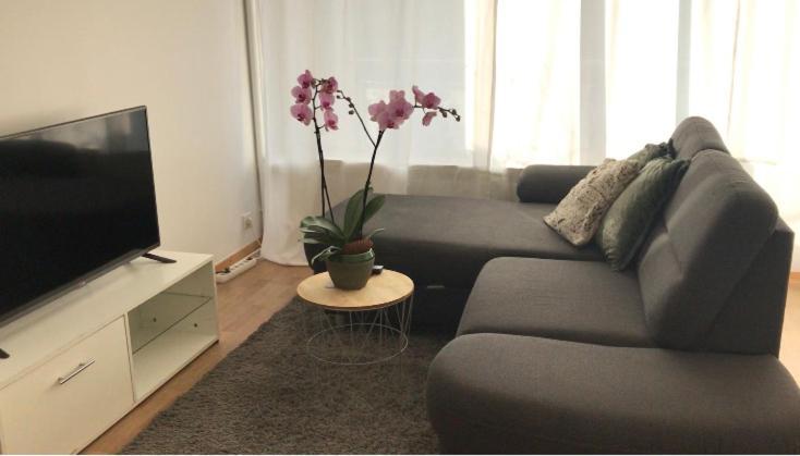Bel Appartement Near Bale Mulhouse Airport サン・ルイ エクステリア 写真