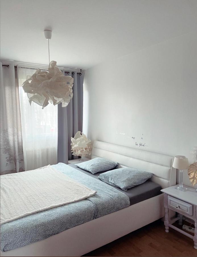 Bel Appartement Near Bale Mulhouse Airport サン・ルイ エクステリア 写真