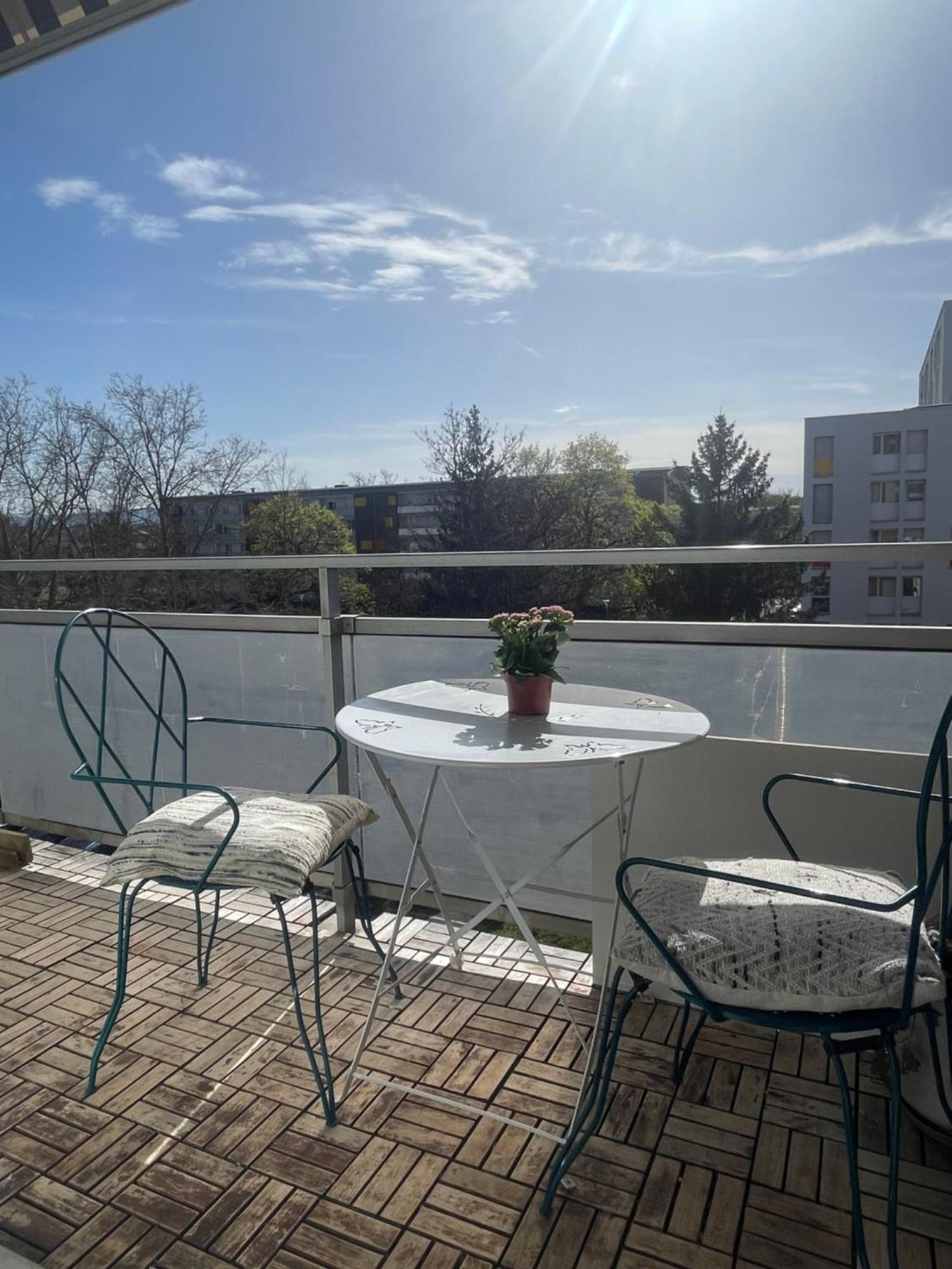 Bel Appartement Near Bale Mulhouse Airport サン・ルイ エクステリア 写真
