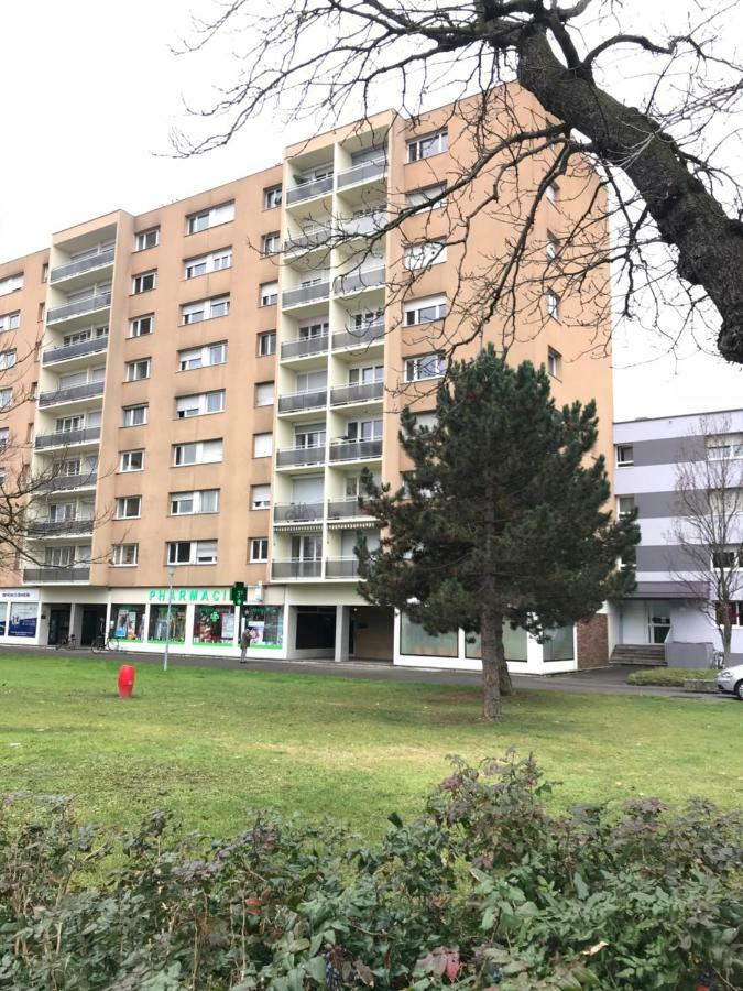 Bel Appartement Near Bale Mulhouse Airport サン・ルイ エクステリア 写真