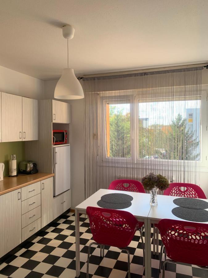 Bel Appartement Near Bale Mulhouse Airport サン・ルイ エクステリア 写真